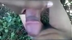 indian college lovers fuck in forest